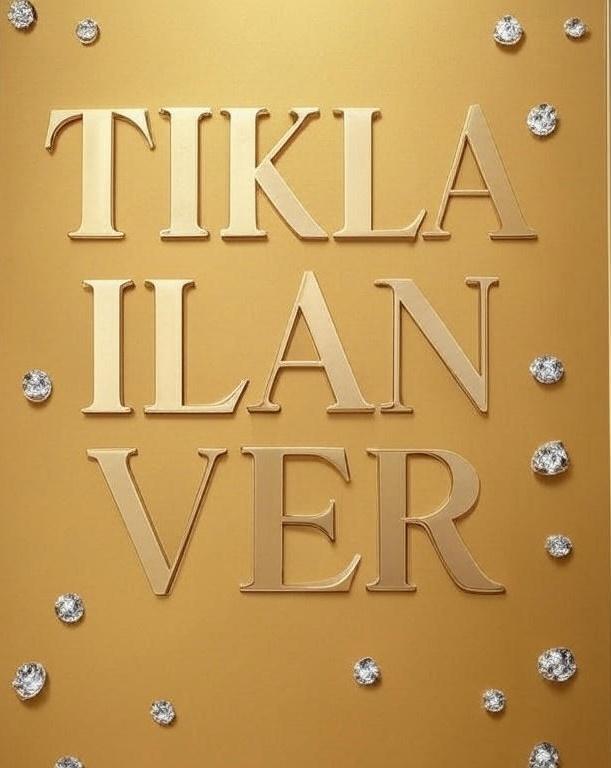 silver ilan